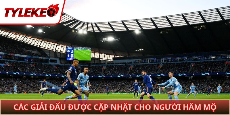 Các giải đấu được cập nhật cho người hâm mộ