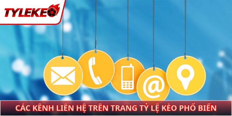 Các kênh liên hệ trên trang tỷ lệ kèo phổ biến