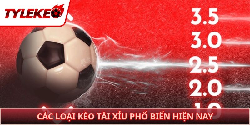 Các loại kèo tài xỉu phổ biến hiện nay