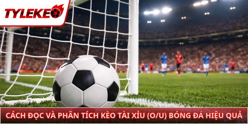 Cách đọc và phân tích kèo tài xỉu (O/U) bóng đá hiệu quả