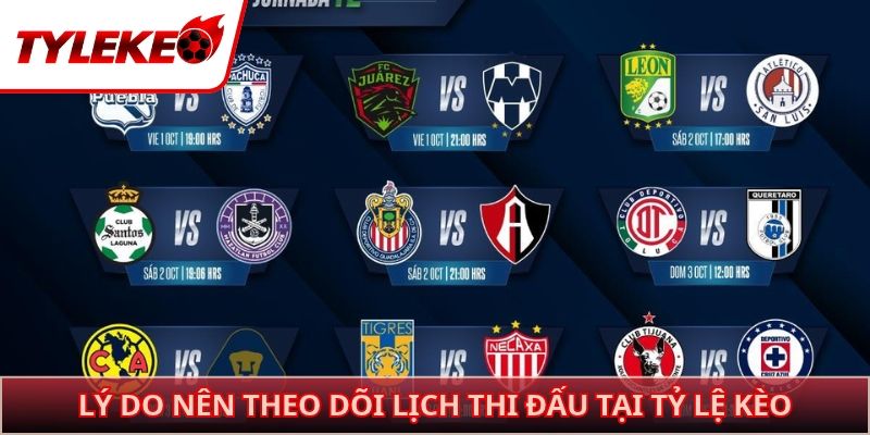 Lý do nên theo dõi lịch thi đấu tại Tỷ lệ kèo