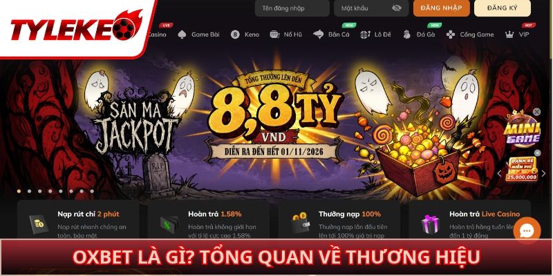 OXBET là gì? Tổng quan về thương hiệu