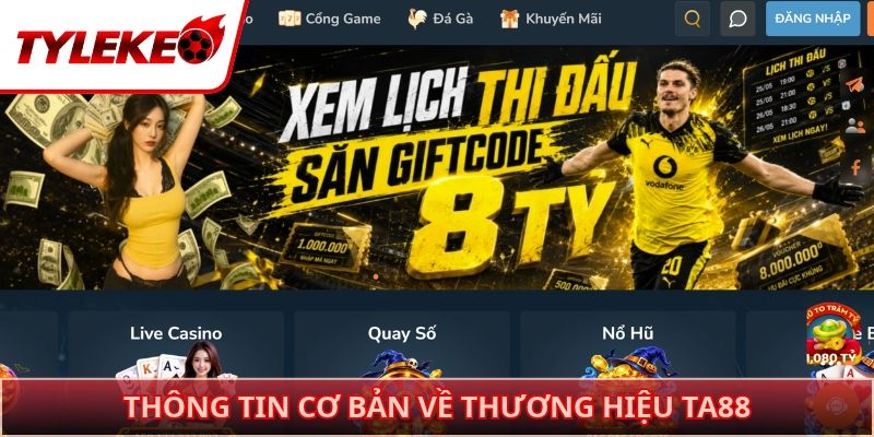 Thông tin cơ bản về thương hiệu TA88
